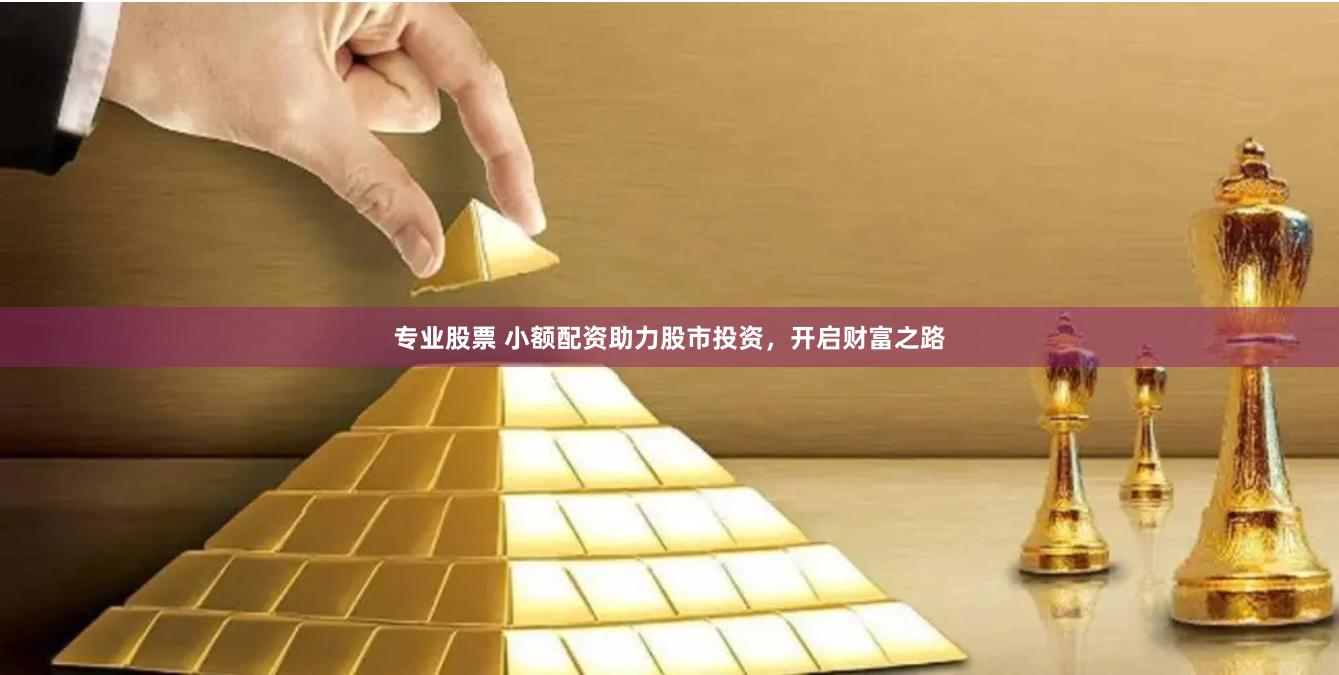专业股票 小额配资助力股市投资，开启财富之路