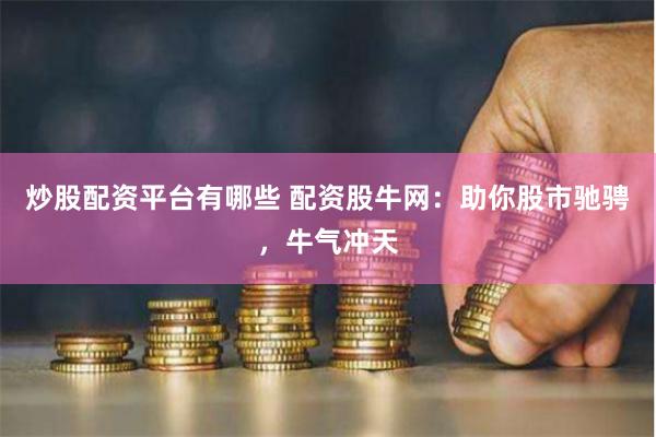炒股配资平台有哪些 配资股牛网：助你股市驰骋，牛气冲天