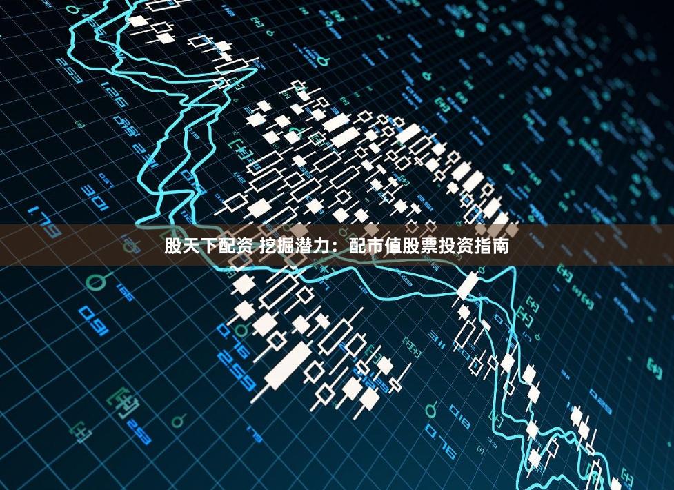 股天下配资 挖掘潜力：配市值股票投资指南