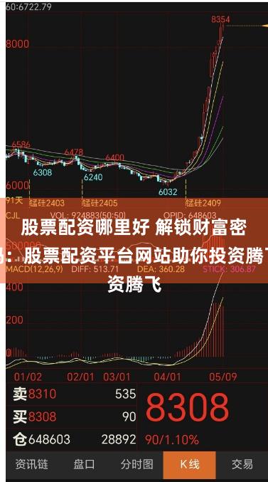 股票配资哪里好 解锁财富密码：股票配资平台网站助你投资腾飞